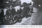 thumbs/1930_saverne_bestiaux_no2285_coupee_tournee.jpg.jpg